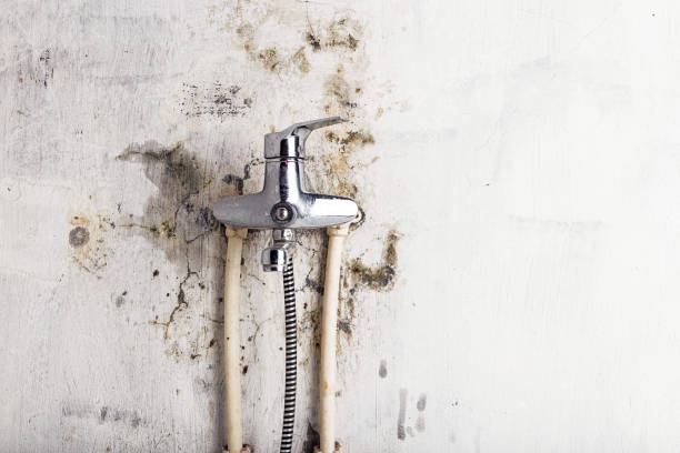 Certified Mold Removal in Kearney, NE