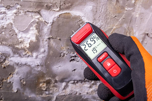Trusted Kearney, NE Mold Removal Experts