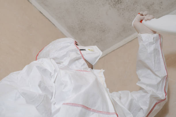 Best Crawl Space Mold Removal  in Keary, NE